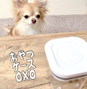 Read more about the article 愛犬のおやつは手早く手間なくあげたい！おすすめはオクソー(OXO)