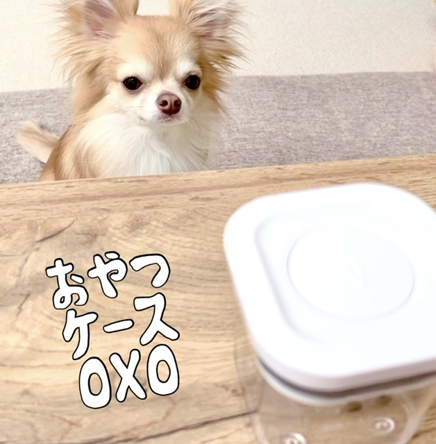 You are currently viewing 愛犬のおやつは手早く手間なくあげたい！おすすめはオクソー(OXO)