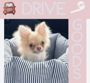Read more about the article 愛犬とドライブ！おすすめグッズ3選《ドライブベッド・ドライブシート・サンシェード》